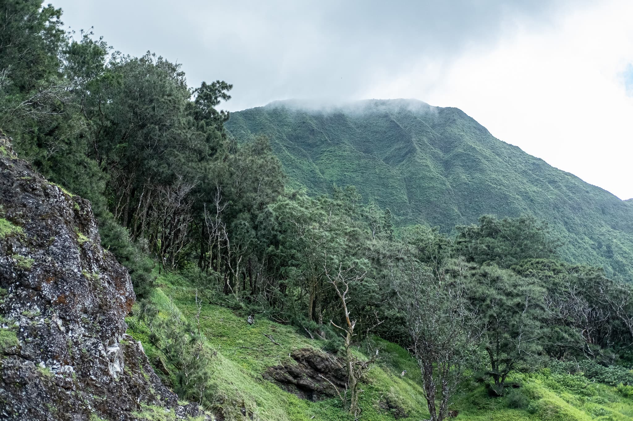 Misty green valley and mountain ridge
