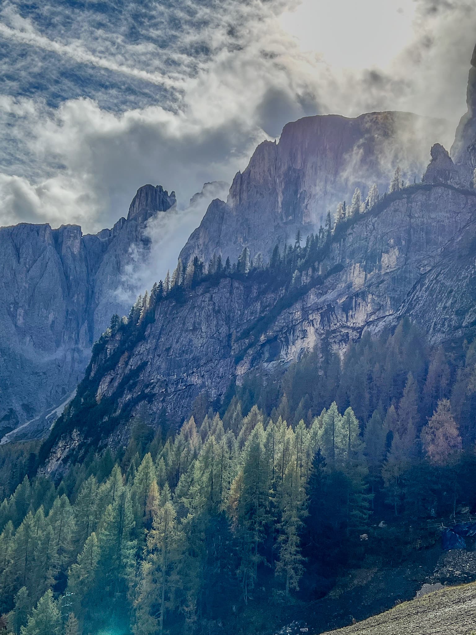 Clouds over rugged peaks and pine forest