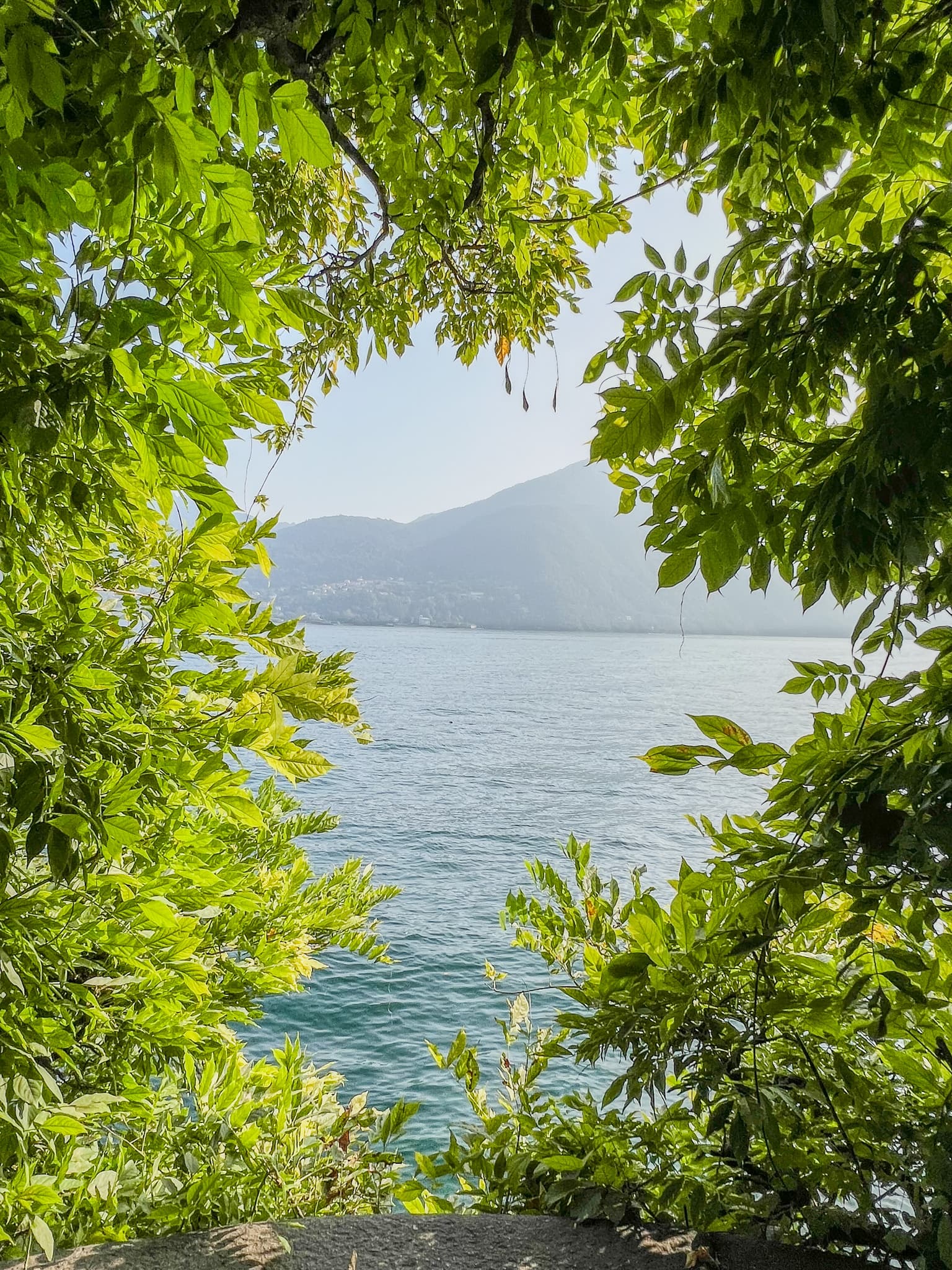 Lake view framed by green leaves