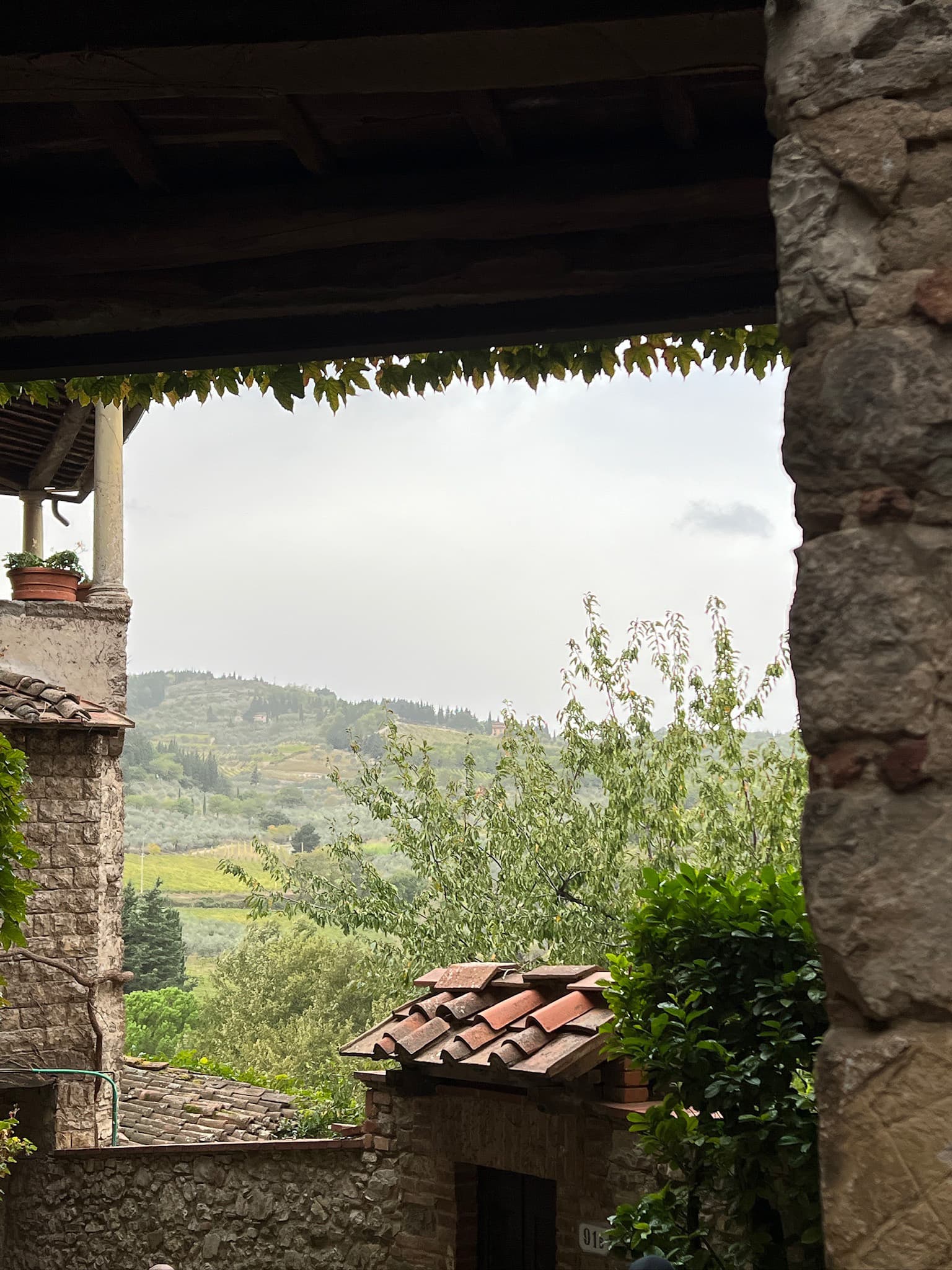 Green hills framed by a stone archway