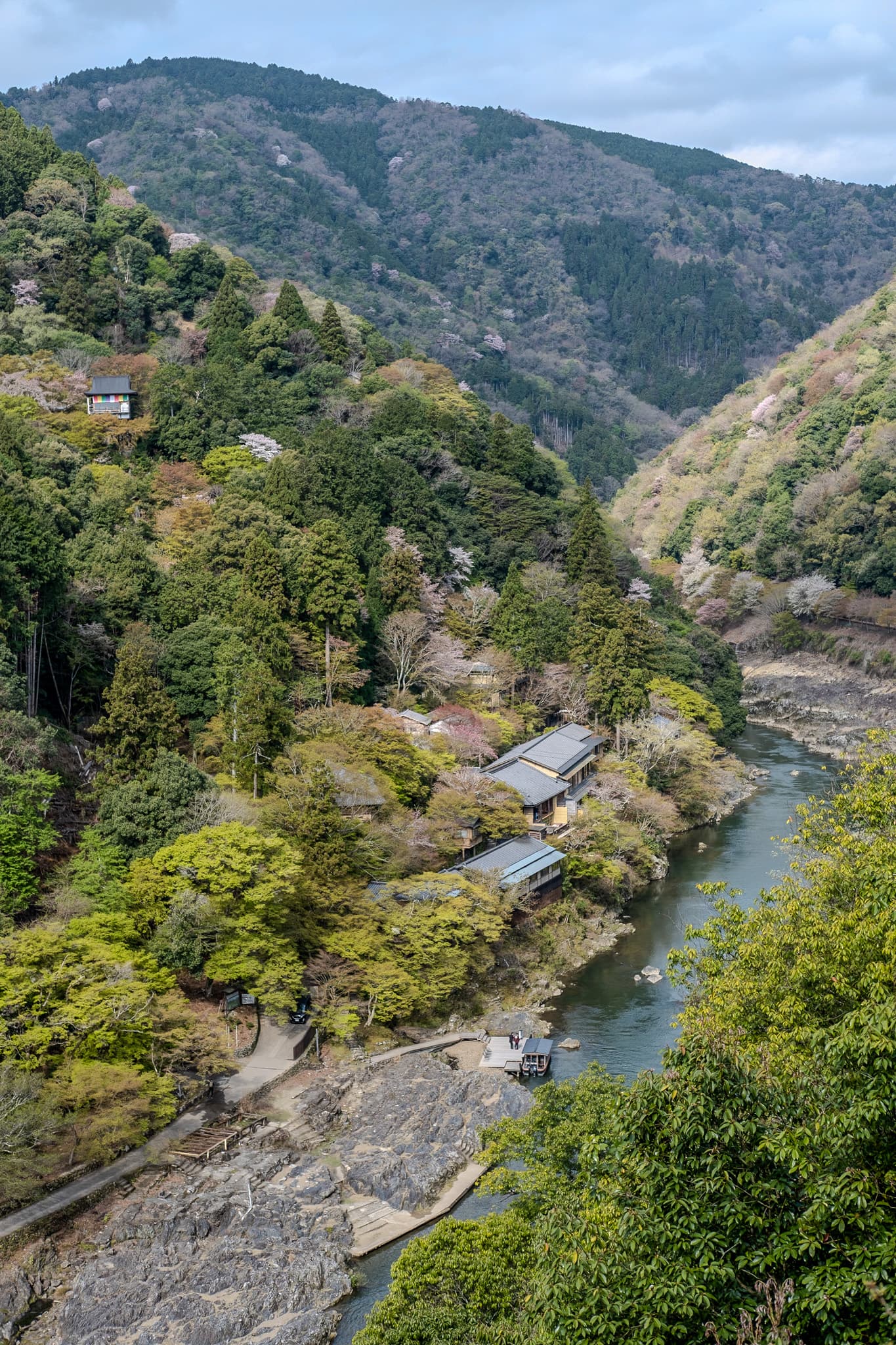 River winding through a wooded valley in blossom