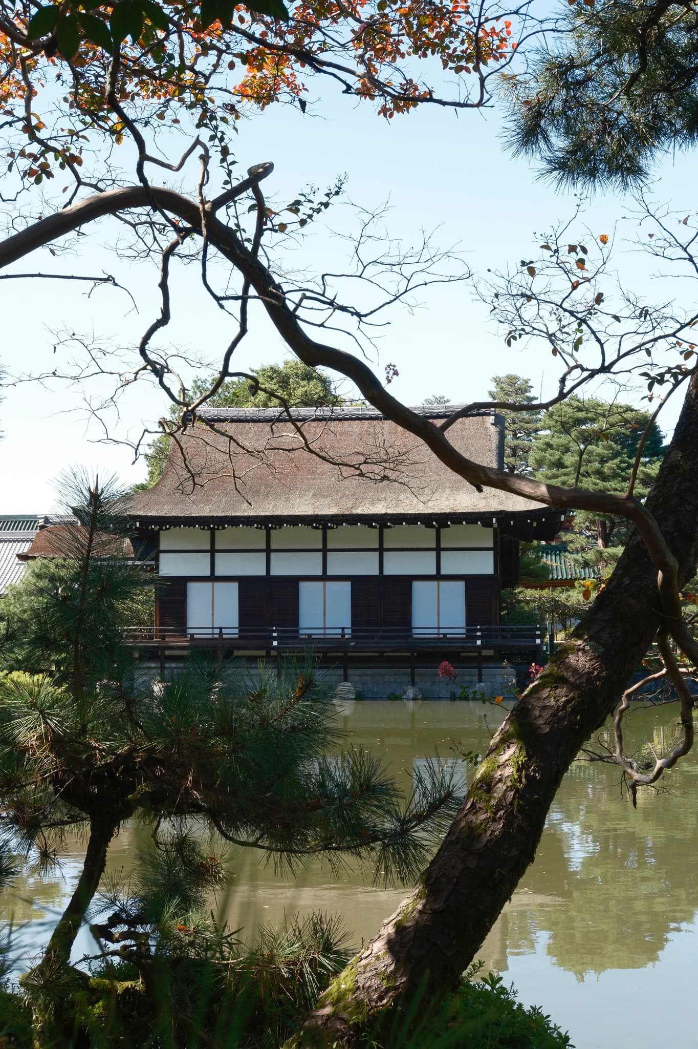 Temple building framed by pine branches