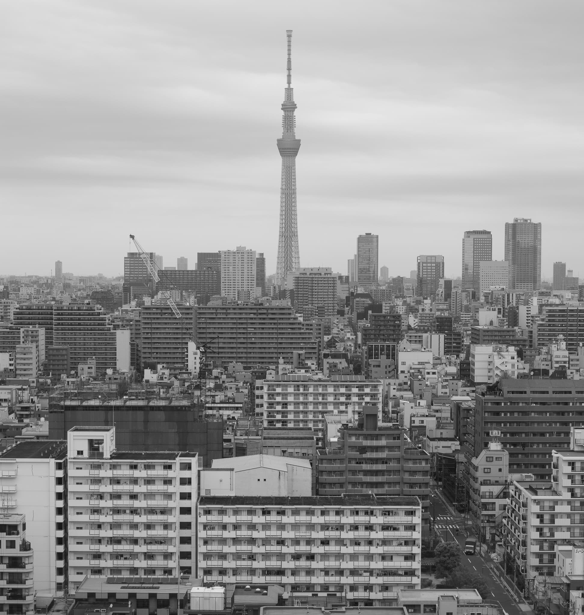 Tokyo Skytree rising above the city