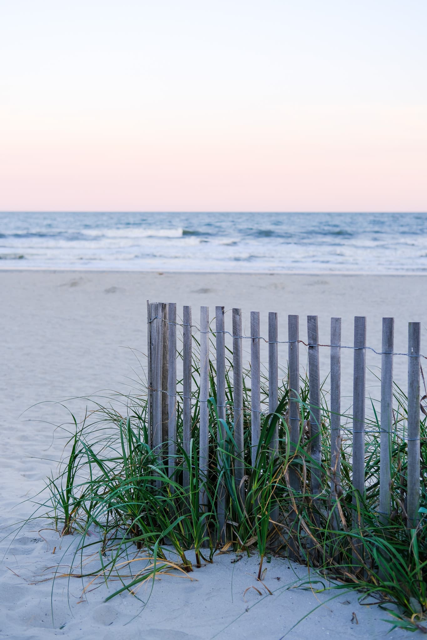 Dune fence and sea grass at dusk