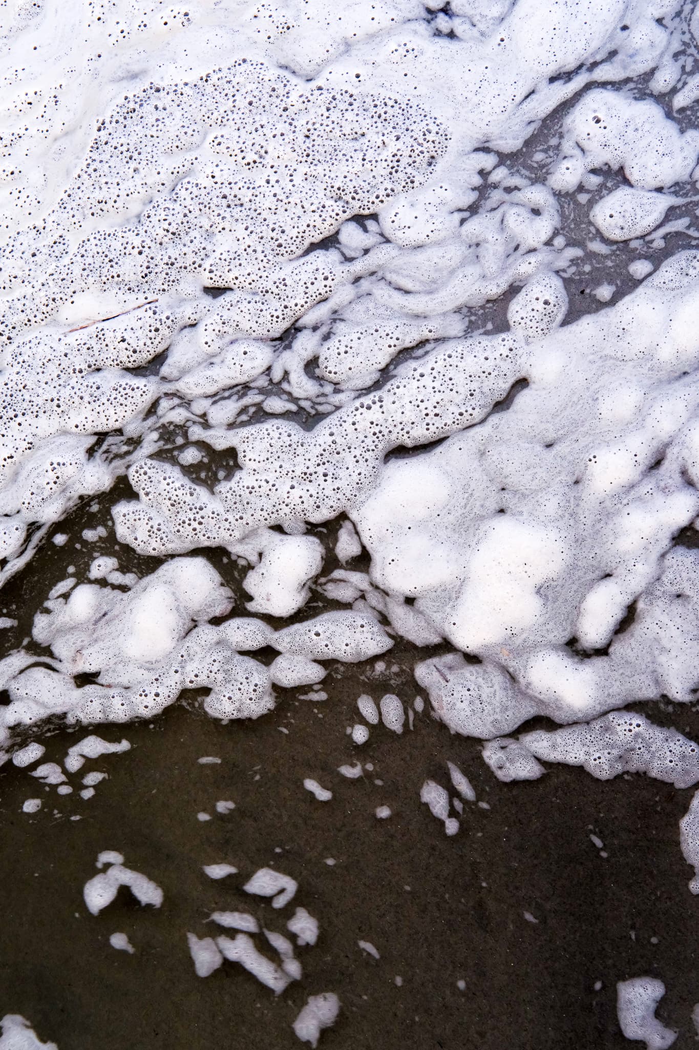 White sea foam on dark wet sand