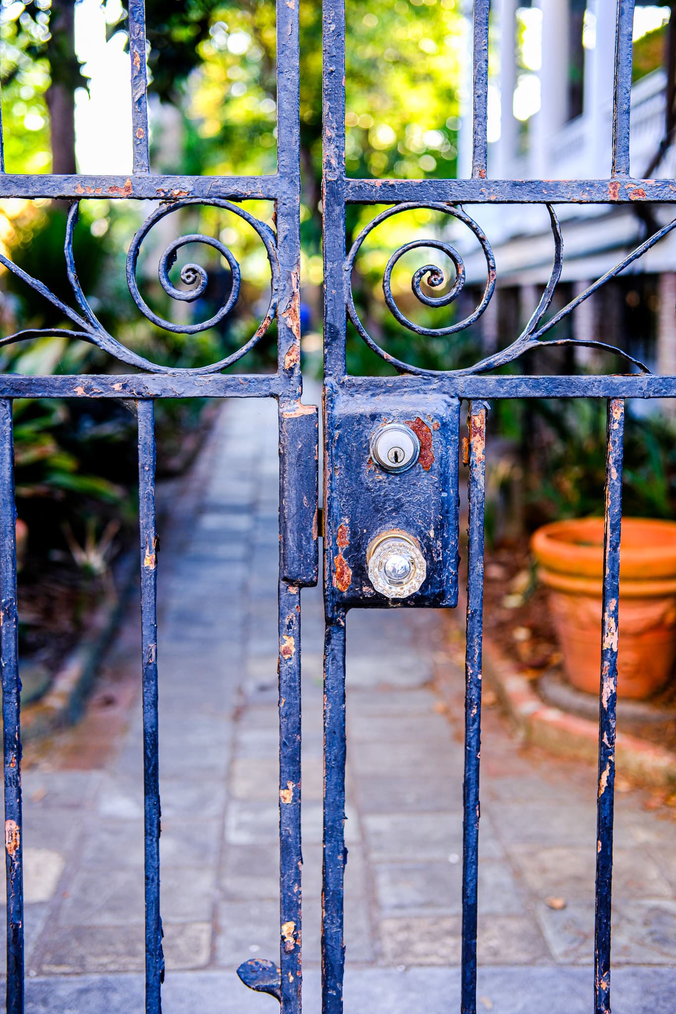 Wrought iron garden gate with scrolled details