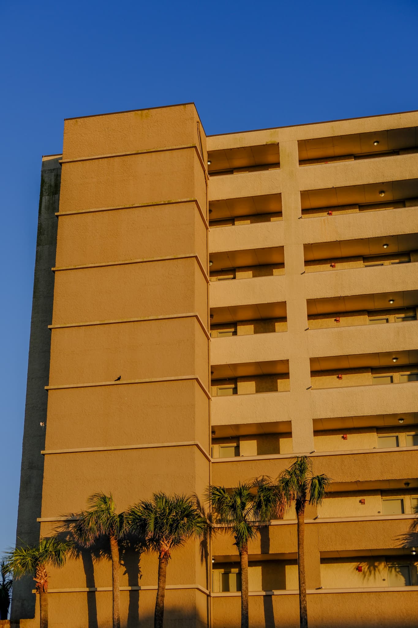 Golden hotel facade and palm trees against a blue sky