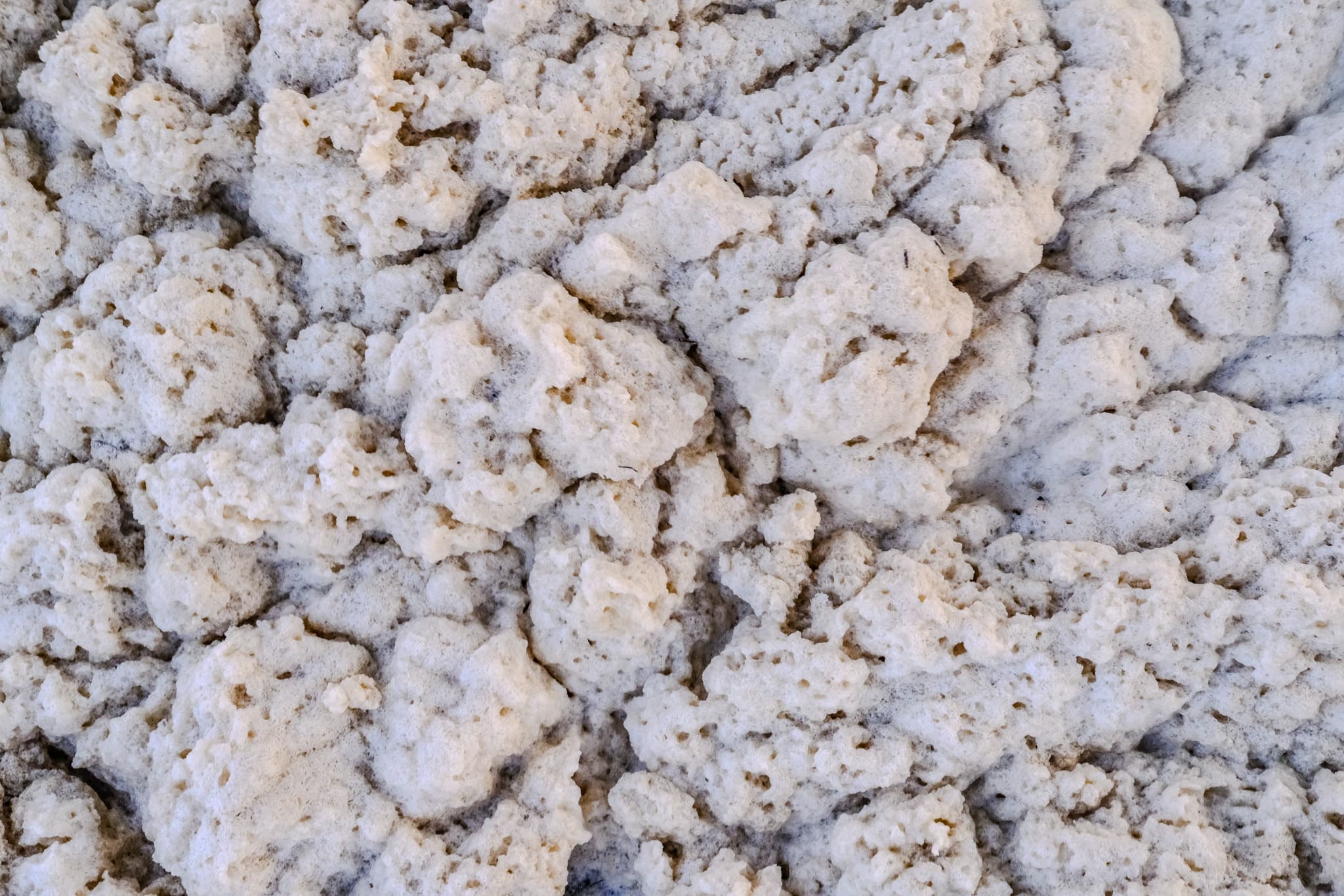 Sea foam on the sand, up close